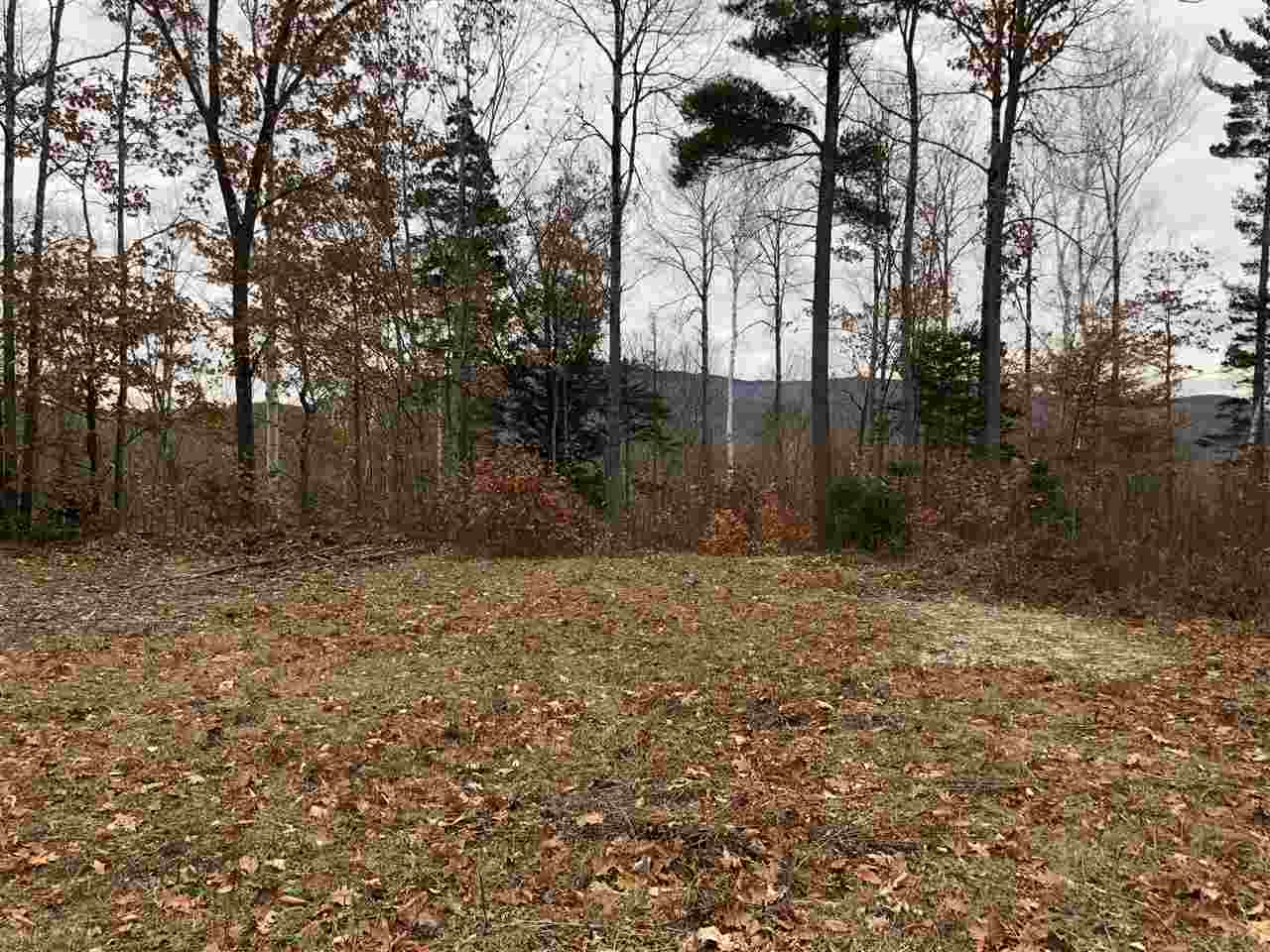 North Wilmot Road Wilmot, NH 03287 - Photo 4 of 24 Gallery Image 4