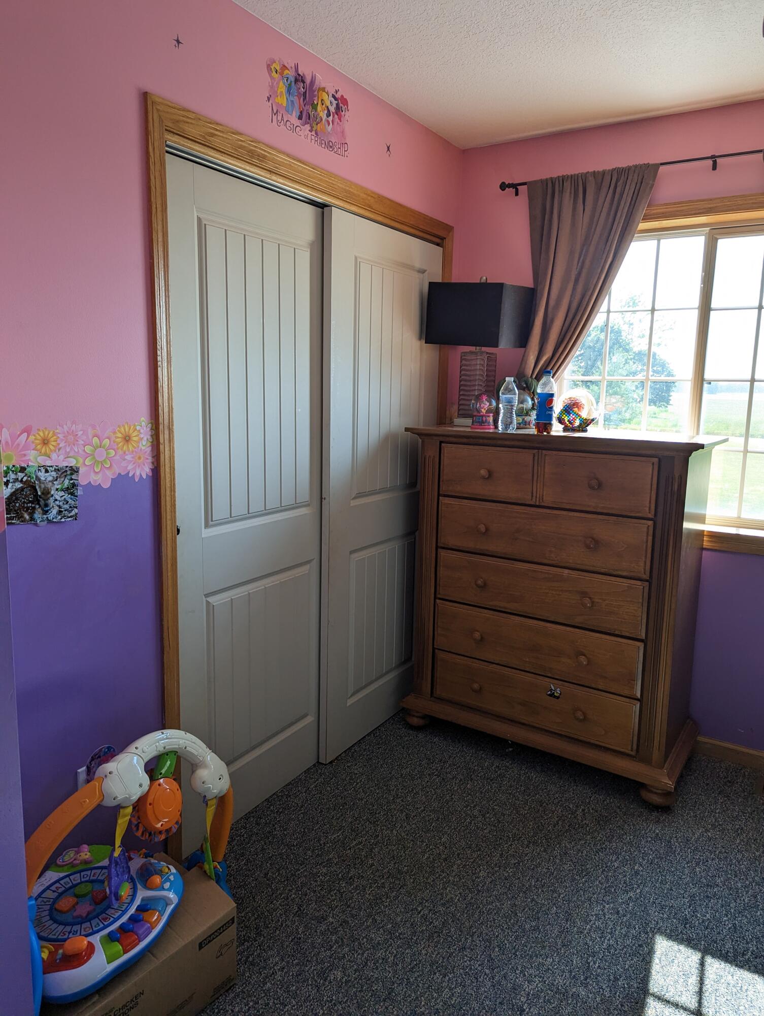 5161 Ainsworth Road Ionia, MI 48846 - Photo 20 of 45 PXL_20230531_212349284