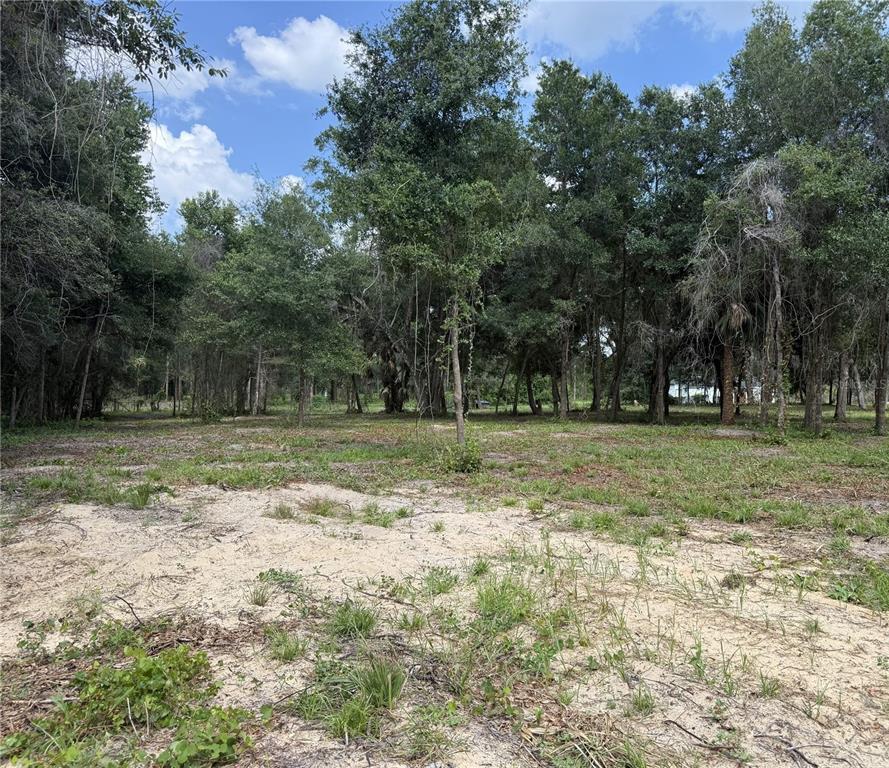 620 Cochran Road Geneva, FL 32732 - Photo 4 of 11