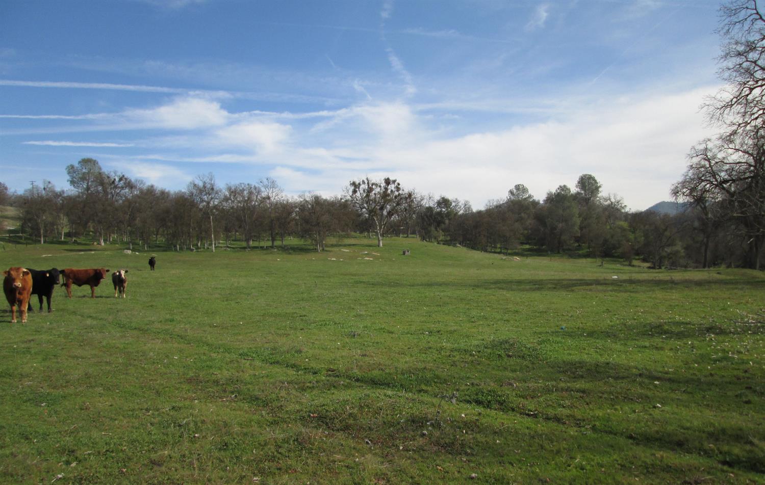 0 Sycamore Road East Tollhouse, CA 93667 - Photo 22 of 40 Gallery Image 22