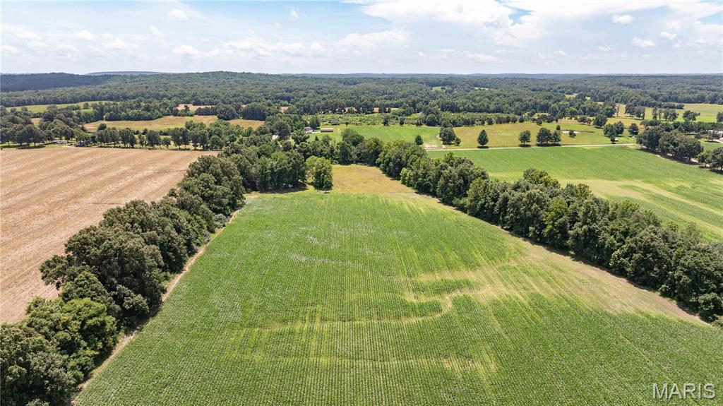 9480 Battleford Road Stonefort, IL 62987 - Photo 12 of 54