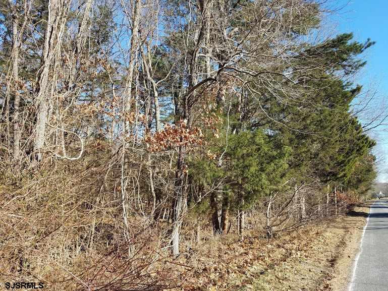 Clarks Clarks Landing Road Port Republic, NJ 08241 - Photo 3 of 5 a view of a yard with a tree