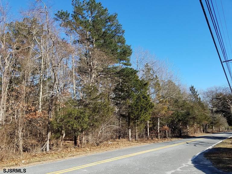 Clarks Clarks Landing Road Port Republic, NJ 08241 - Photo 4 of 5 a view of road with with trees