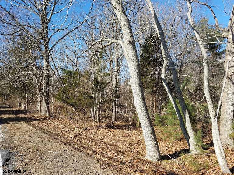 Clarks Clarks Landing Road Port Republic, NJ 08241 - Photo 5 of 5 a view of a yard with a tree