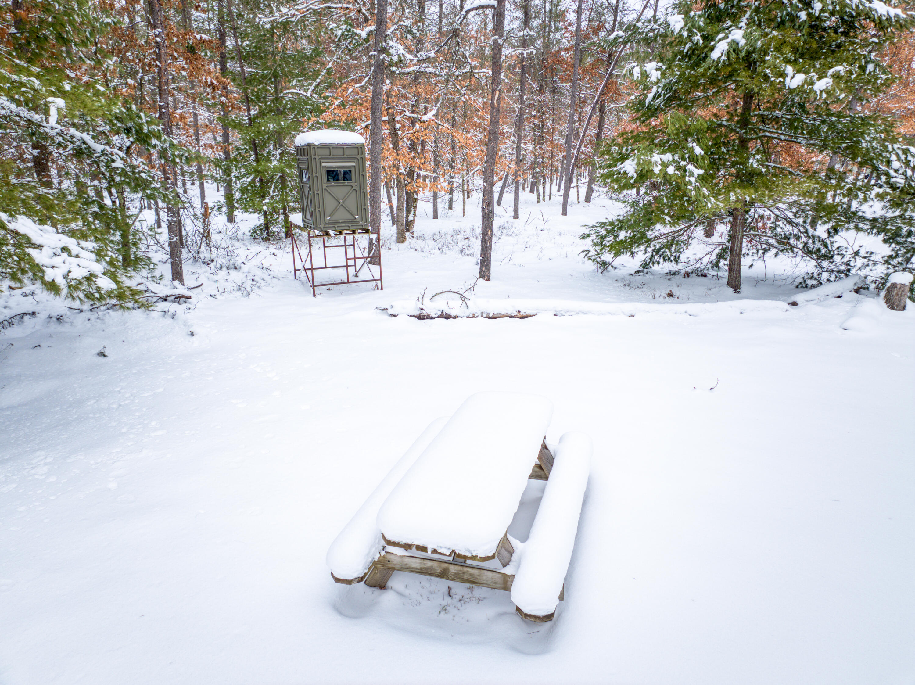 4813 48th Street Baldwin, MI 49304 - Photo 19 of 23 DJI_20260227211010_0335_D_24 - Copy