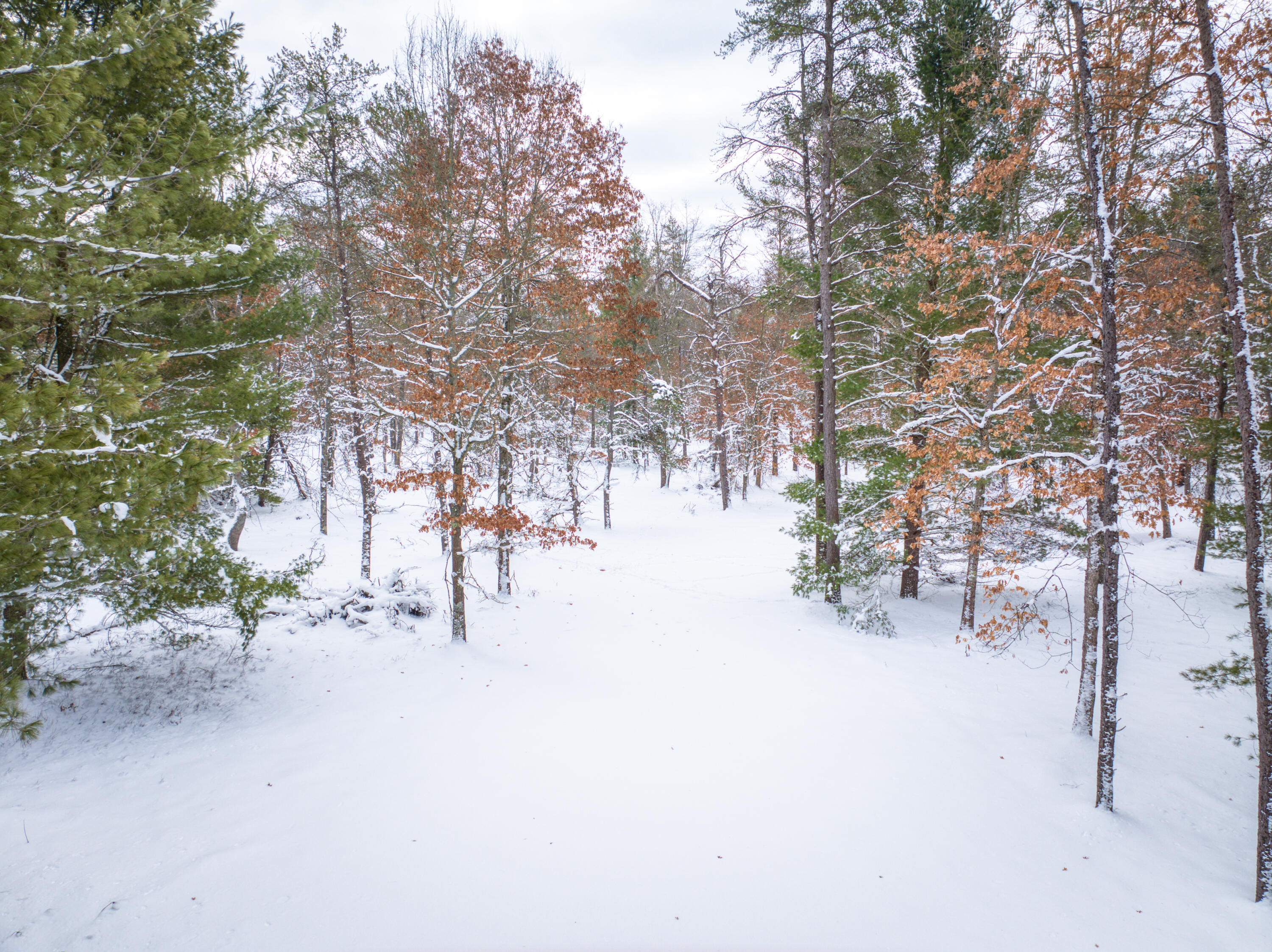 4813 48th Street Baldwin, MI 49304 - Photo 21 of 23 DJI_20260227210945_0330_D_23