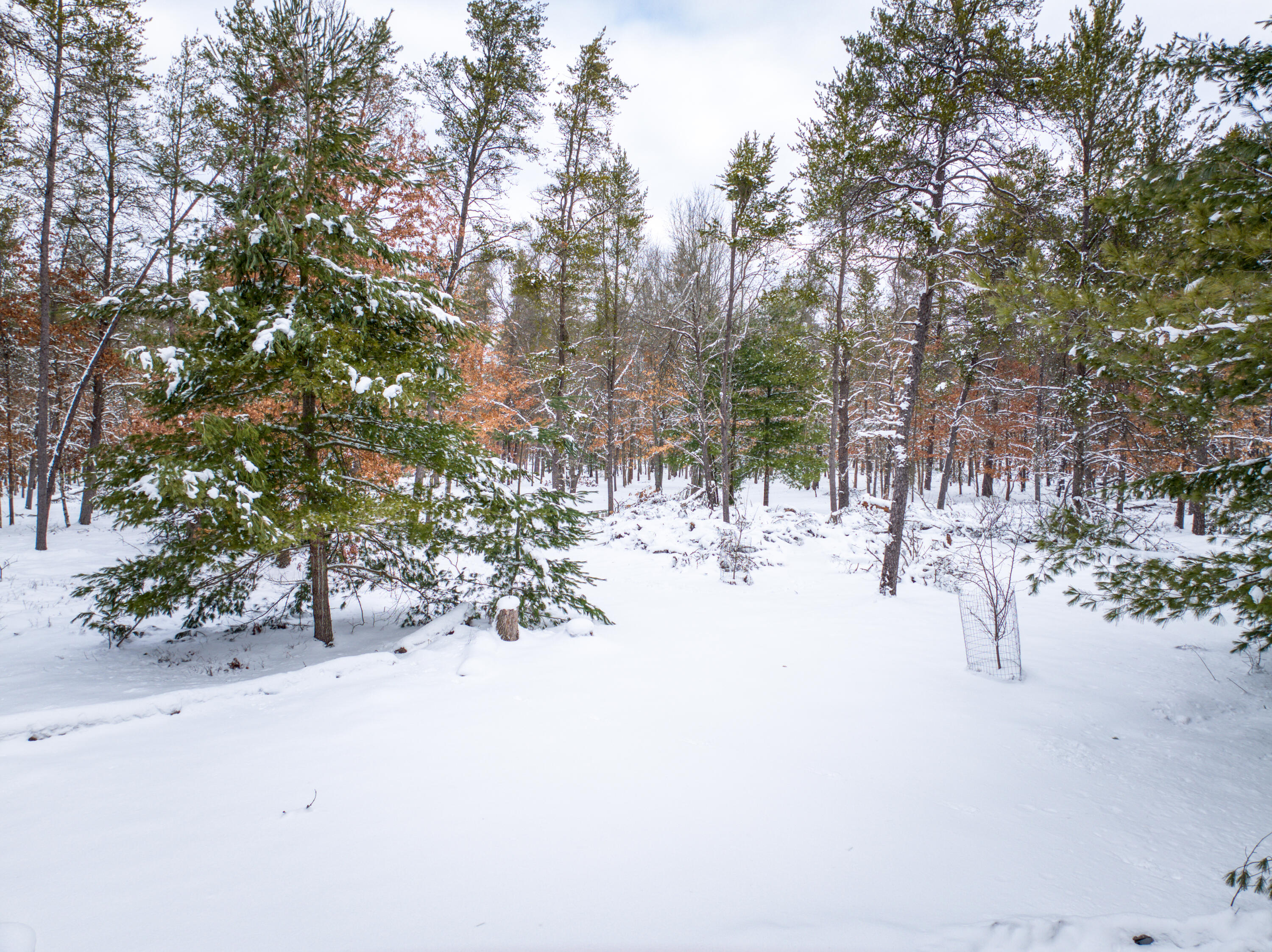 4813 48th Street Baldwin, MI 49304 - Photo 22 of 23 DJI_20260227211028_0340_D_25 - Copy