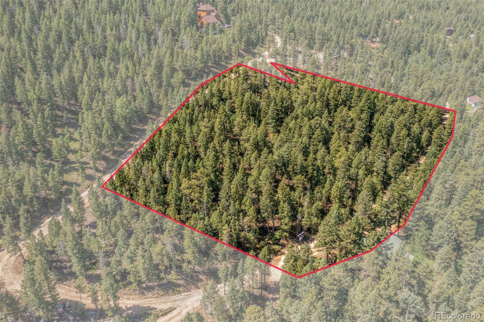 a close up of a plant