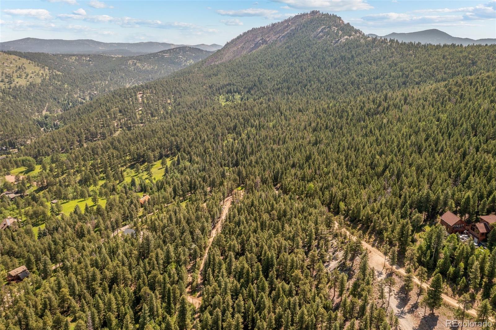 34095 Columbine Circle Evergreen, CO 80439 - Photo 12 of 32 a view of a mountain in the distance in a forest