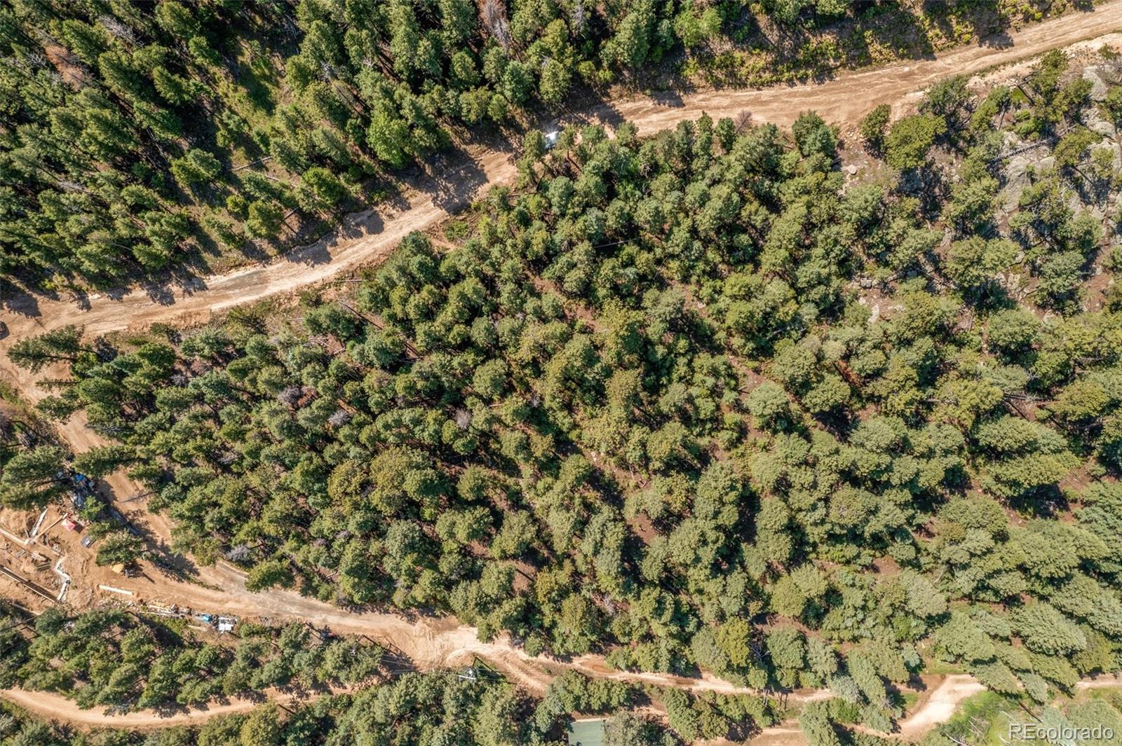 34095 Columbine Circle Evergreen, CO 80439 - Photo 13 of 32 a view of a yard with a tree