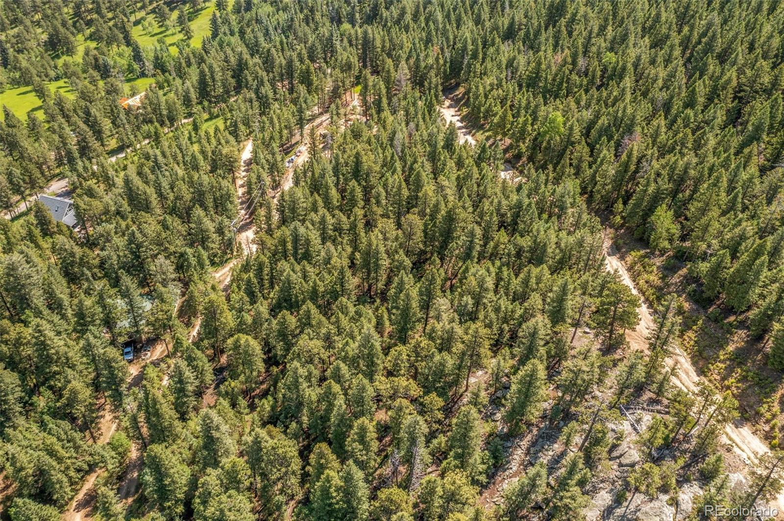 34095 Columbine Circle Evergreen, CO 80439 - Photo 14 of 32 a view of a yard