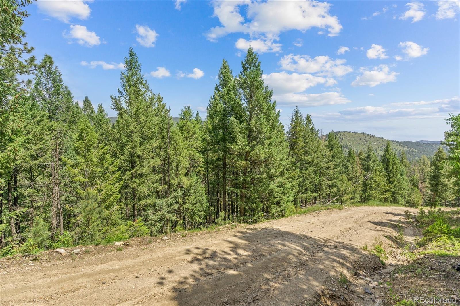 34095 Columbine Circle Evergreen, CO 80439 - Photo 16 of 32 a view of a yard with a tree