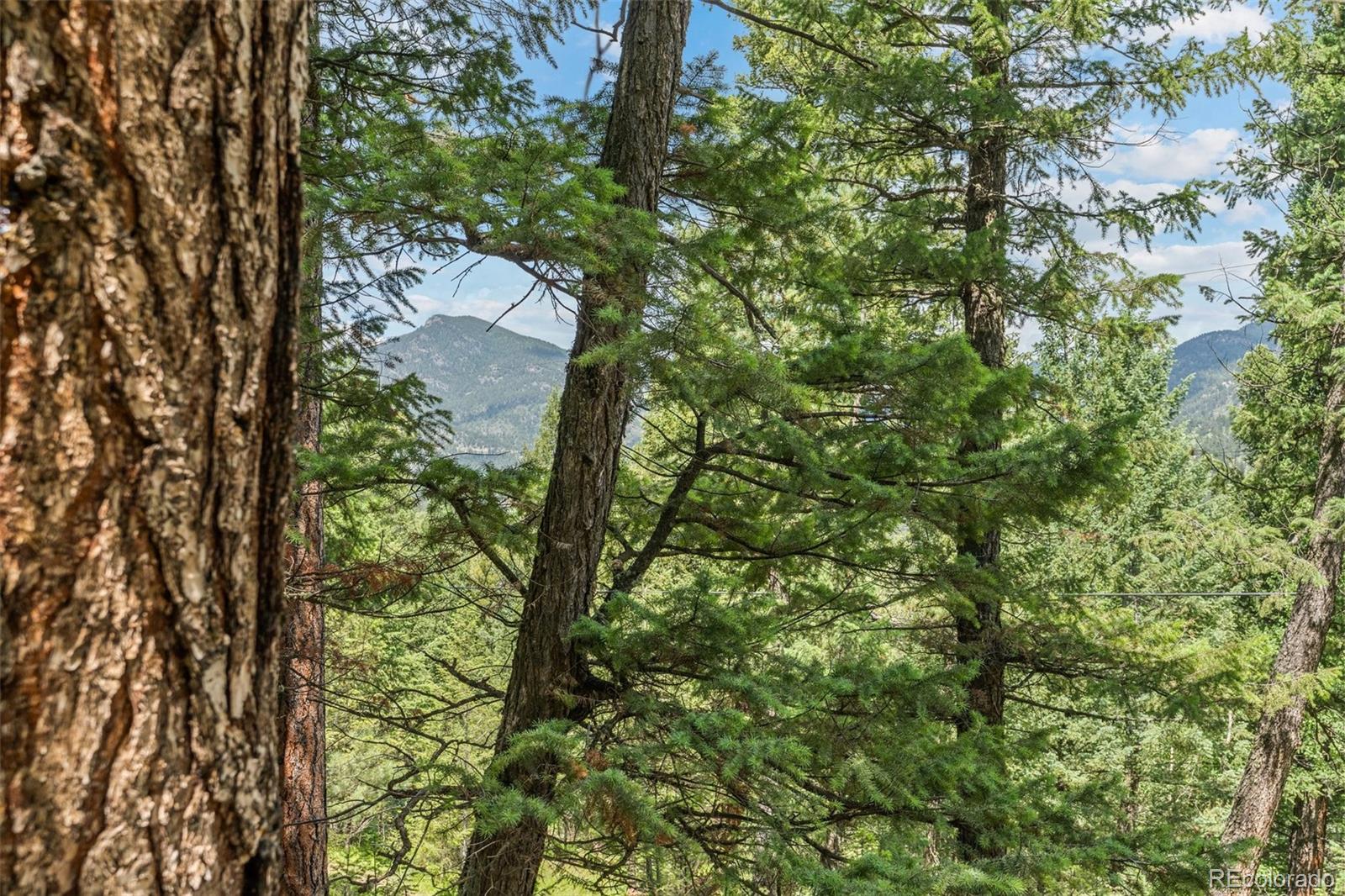 34095 Columbine Circle Evergreen, CO 80439 - Photo 19 of 32 a view of a garden