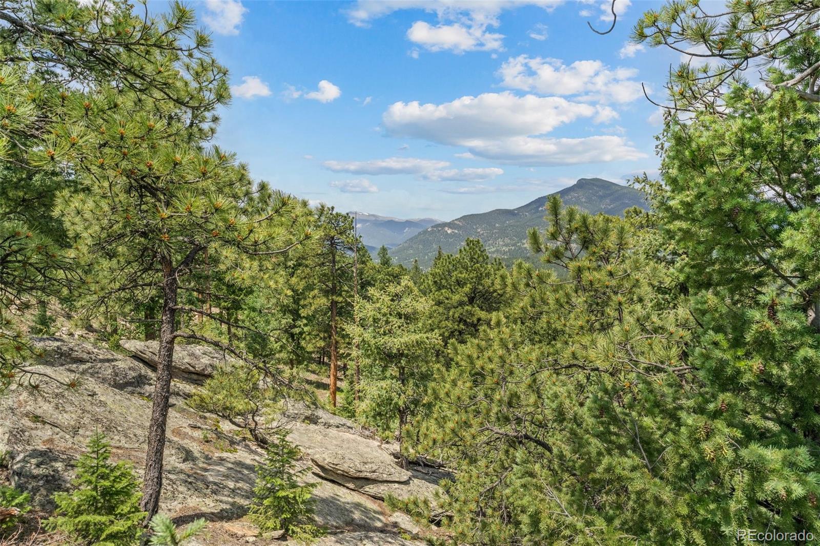 34095 Columbine Circle Evergreen, CO 80439 - Photo 20 of 32 a view of a bunch of trees