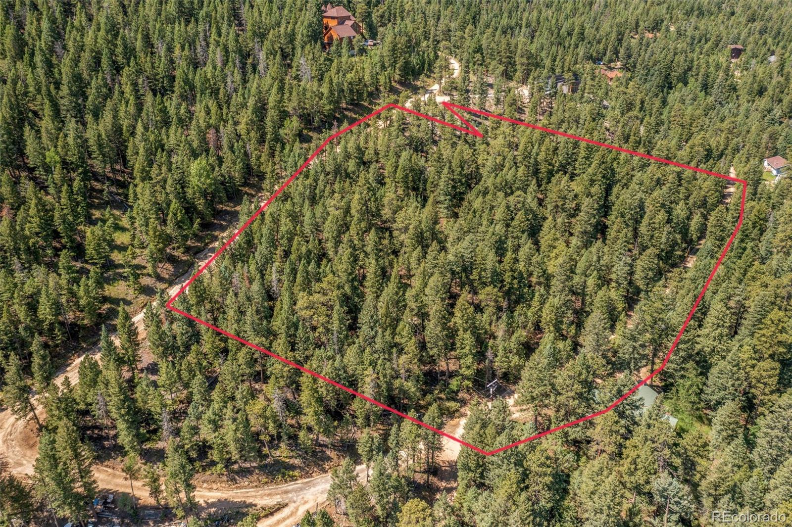 34095 Columbine Circle Evergreen, CO 80439 - Photo 2 of 32 a view of a flower