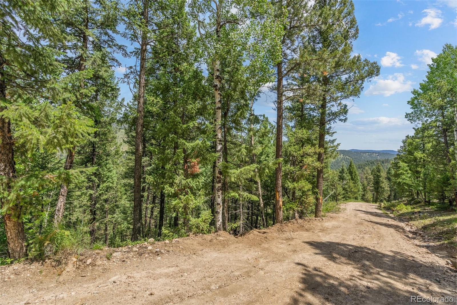34095 Columbine Circle Evergreen, CO 80439 - Photo 22 of 32 a view of a yard with plants and trees