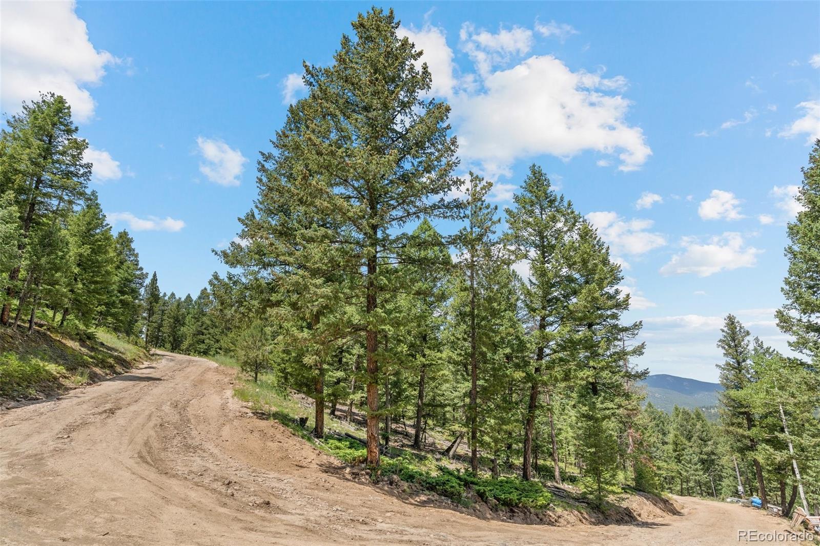 34095 Columbine Circle Evergreen, CO 80439 - Photo 25 of 32 a view of a garden