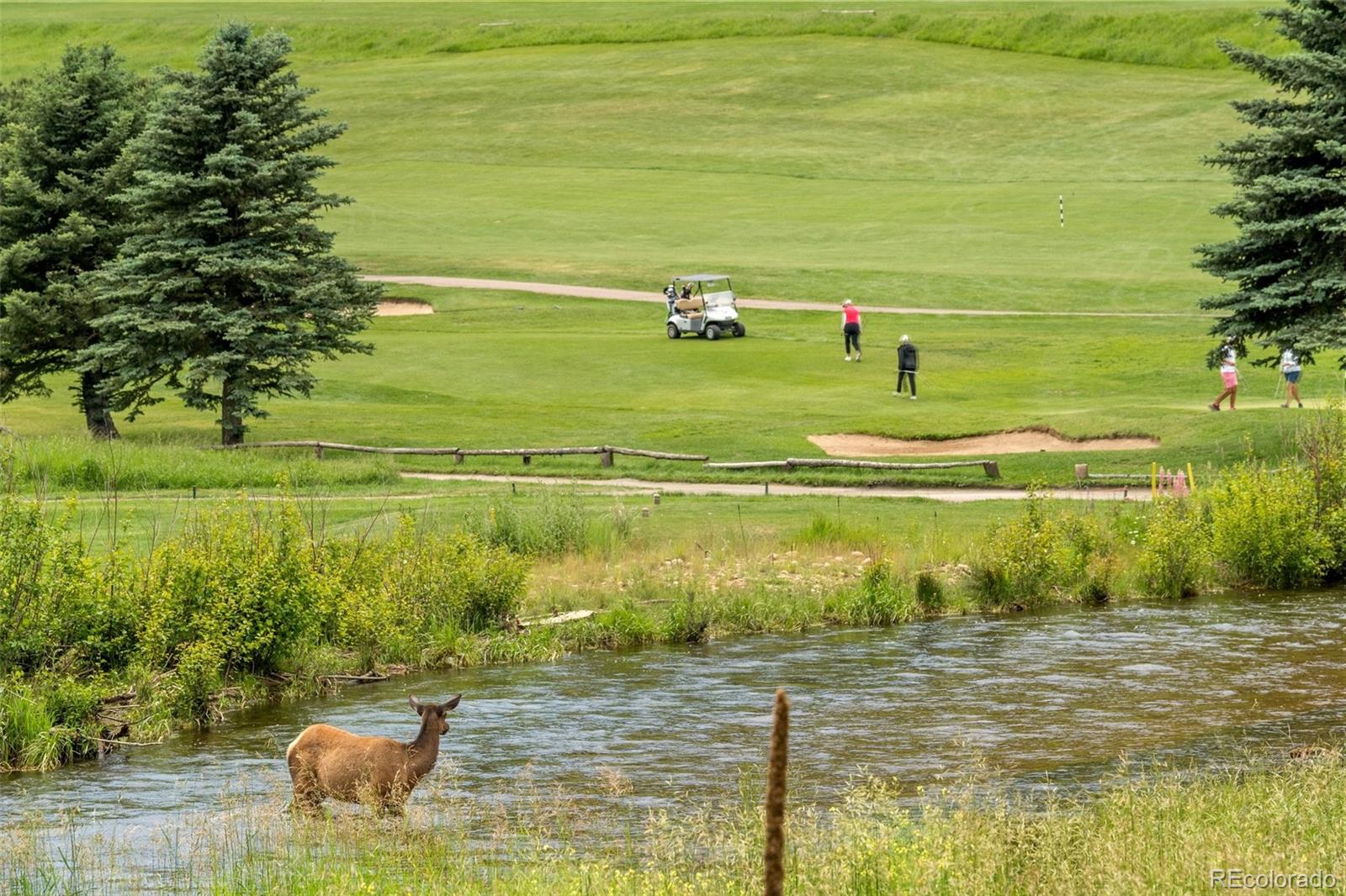 34095 Columbine Circle Evergreen, CO 80439 - Photo 29 of 32 a view of a water with an outdoor space