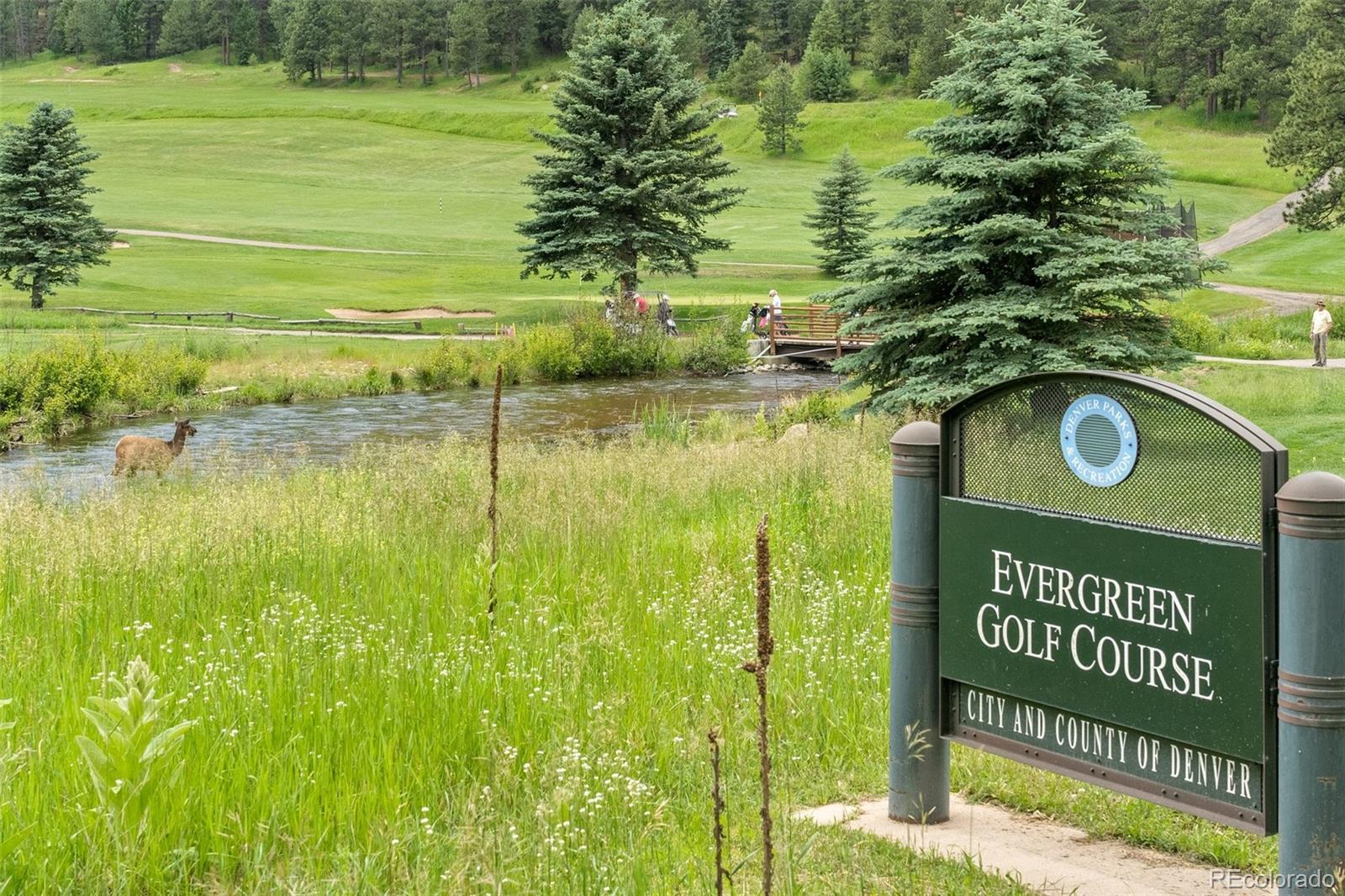 34095 Columbine Circle Evergreen, CO 80439 - Photo 30 of 32 a view of a street with an outdoor space