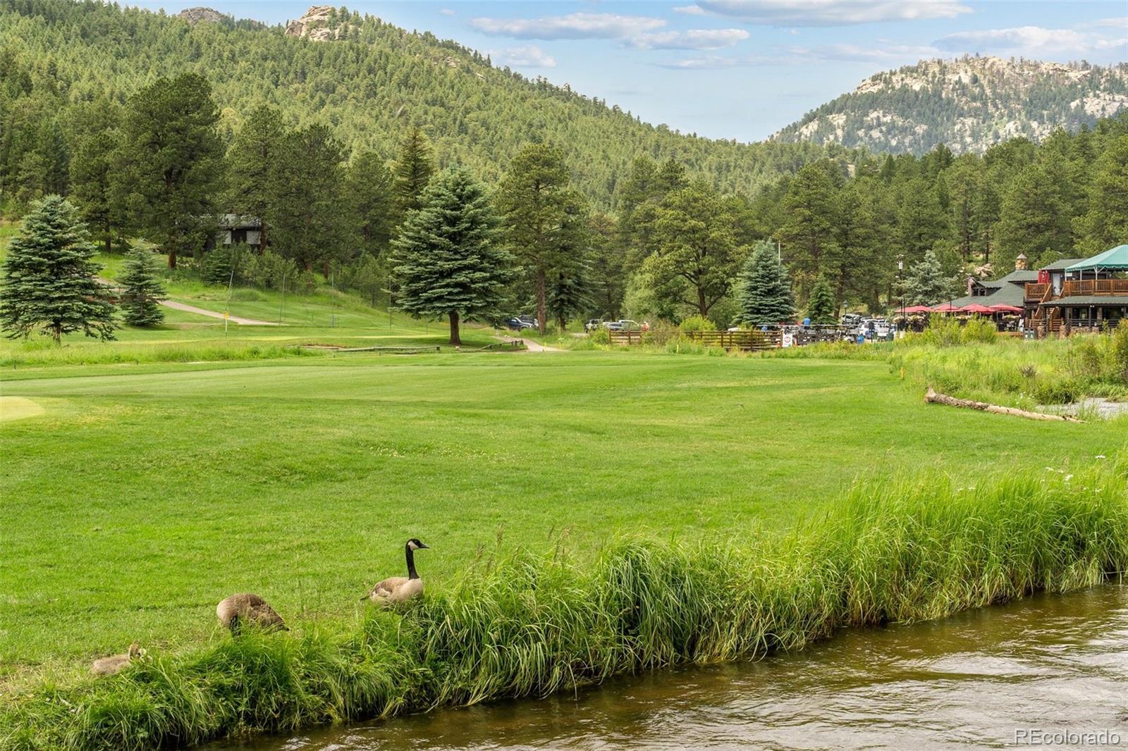 34095 Columbine Circle Evergreen, CO 80439 - Photo 31 of 32 a view of a big yard with table and chairs