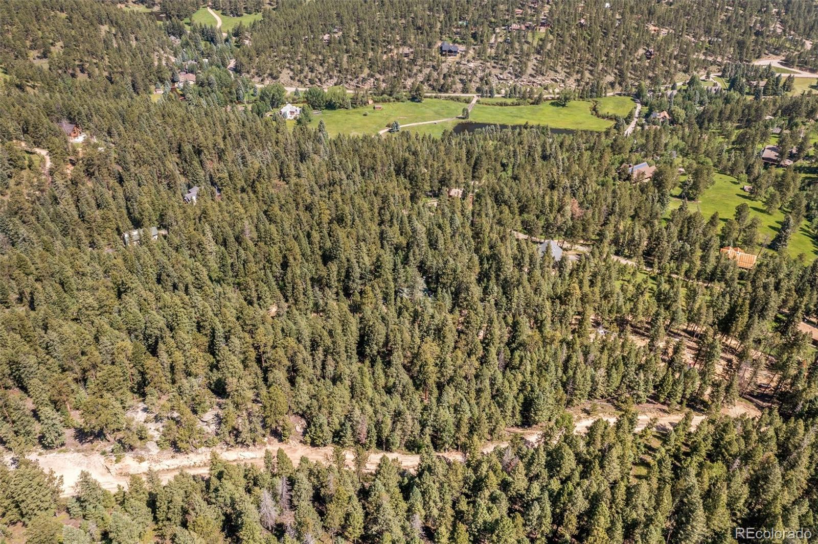 34095 Columbine Circle Evergreen, CO 80439 - Photo 10 of 32