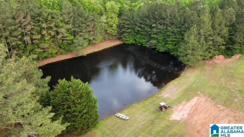 7307 County Road 31 Lineville, AL 36266 - Photo 2 of 30