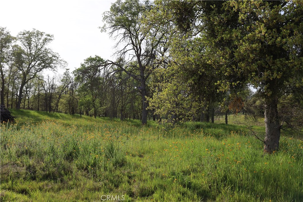 0 Douglas Road Coarsegold, CA 93614 - Photo 26 of 32