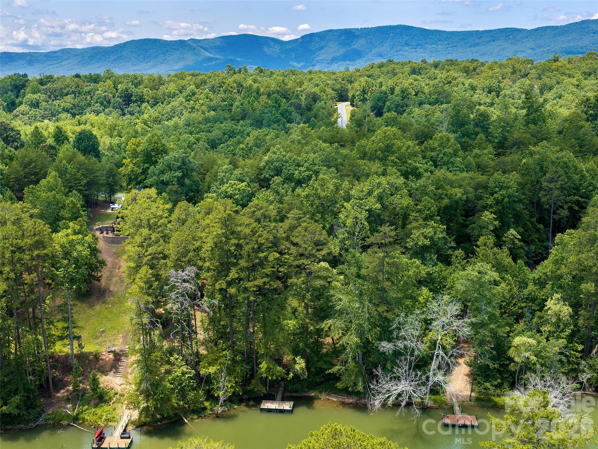 Lot 14 Parkway North Rd Mill Spring, Unit 14 Mill Spring, NC 28756 - Photo 5 of 14