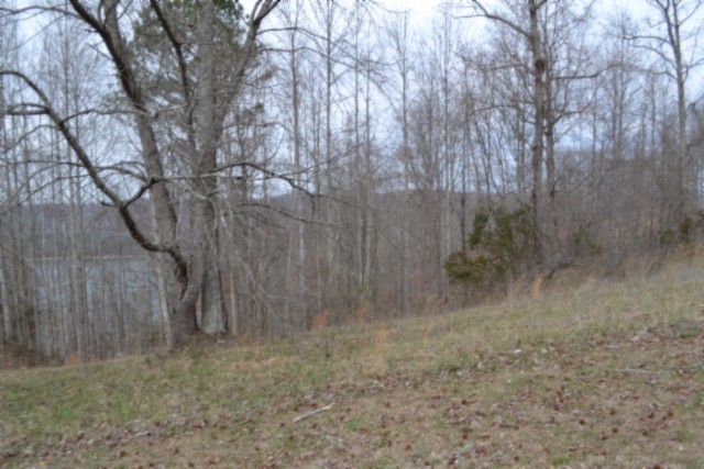0 Fox Hill Road Baxter, TN 38544 - Photo 11 of 32