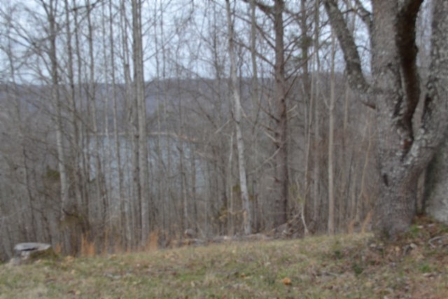 0 Fox Hill Road Baxter, TN 38544 - Photo 13 of 32 a view of a dry yard with trees