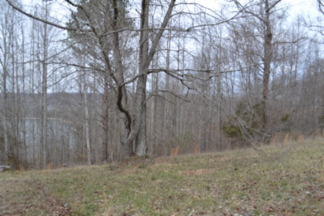0 Fox Hill Road Baxter, TN 38544 - Photo 16 of 32 a backyard of a house with lots of green space