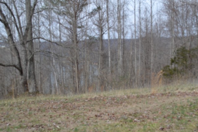 0 Fox Hill Road Baxter, TN 38544 - Photo 18 of 32 a view of a dry yard