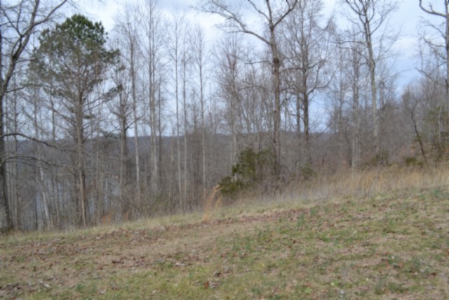 0 Fox Hill Road Baxter, TN 38544 - Photo 20 of 32 a view of a dry yard with trees