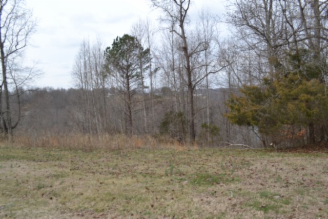 0 Fox Hill Road Baxter, TN 38544 - Photo 2 of 32 a view of a dry yard