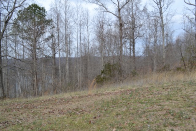 0 Fox Hill Road Baxter, TN 38544 - Photo 21 of 32 a view of a dry yard with trees