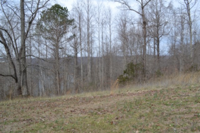 0 Fox Hill Road Baxter, TN 38544 - Photo 22 of 32 a view of a dry yard with trees