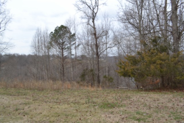 0 Fox Hill Road Baxter, TN 38544 - Photo 3 of 32 a view of a dry yard
