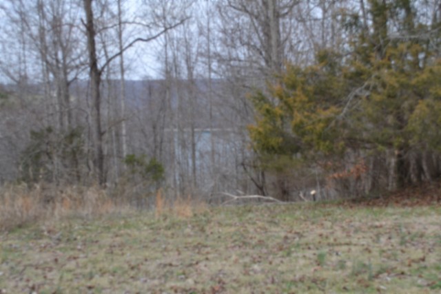 0 Fox Hill Road Baxter, TN 38544 - Photo 4 of 32 a view of a dry yard