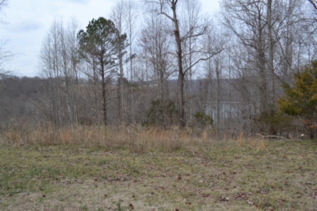 0 Fox Hill Road Baxter, TN 38544 - Photo 5 of 32 a view of a dry yard