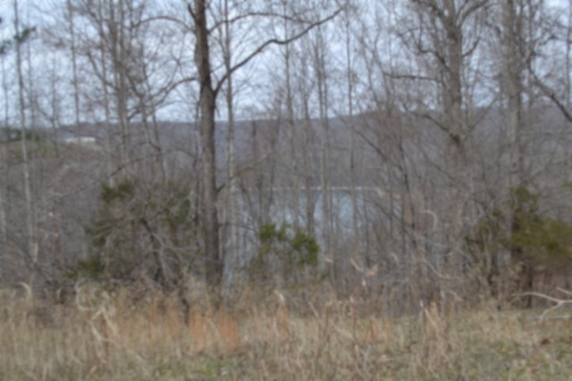 0 Fox Hill Road Baxter, TN 38544 - Photo 7 of 32 a view of forest
