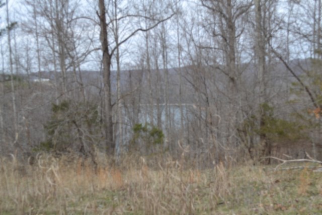 0 Fox Hill Road Baxter, TN 38544 - Photo 8 of 32 a view of a yard with trees