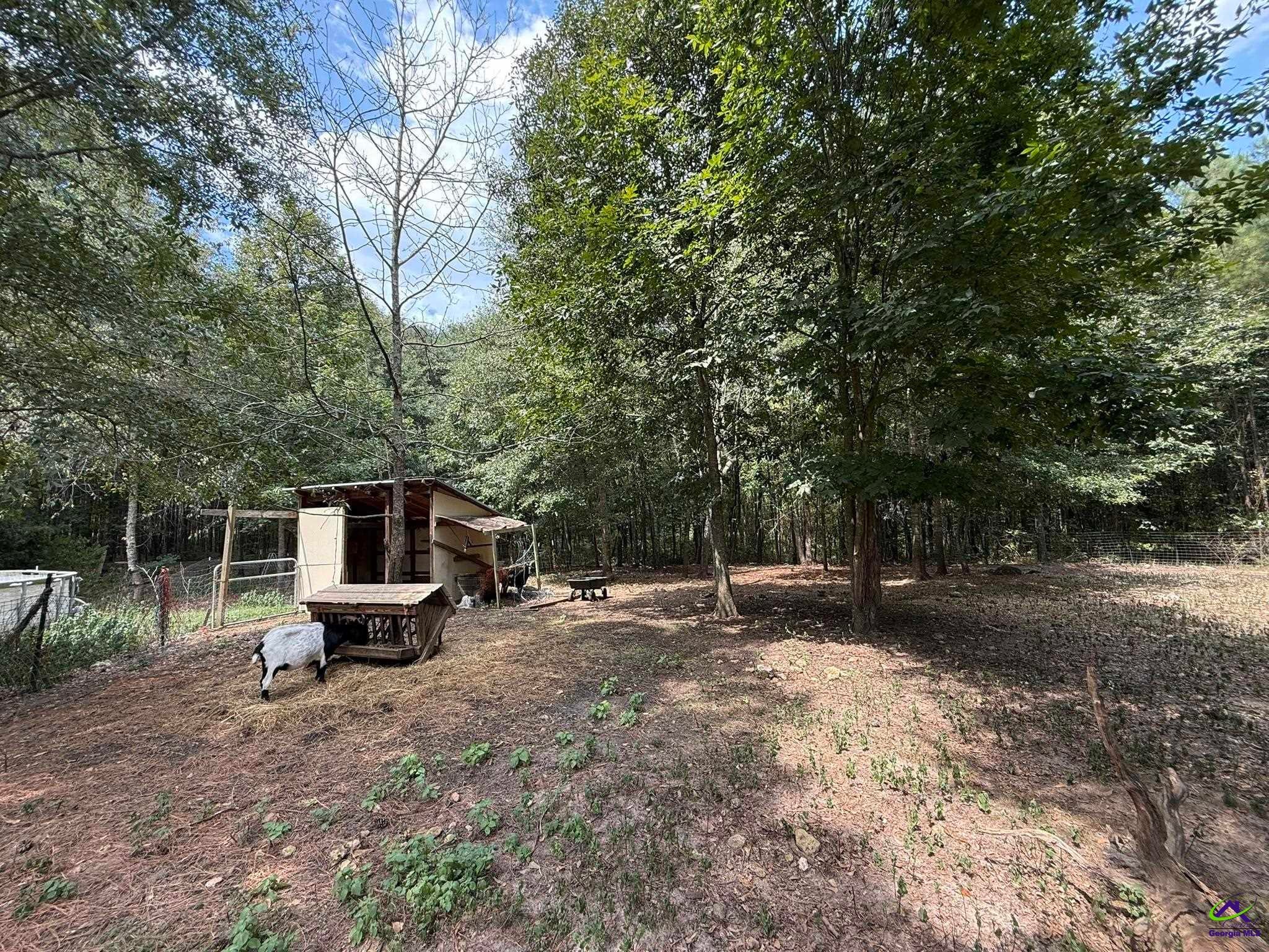 124 North County Line Road Unadilla, GA 31091 - Photo 44 of 49 Gallery Image 44