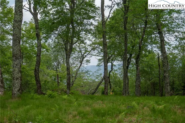 $135,000 | 75 Green Cliffs Road, Sugar Mountain, NC 28604