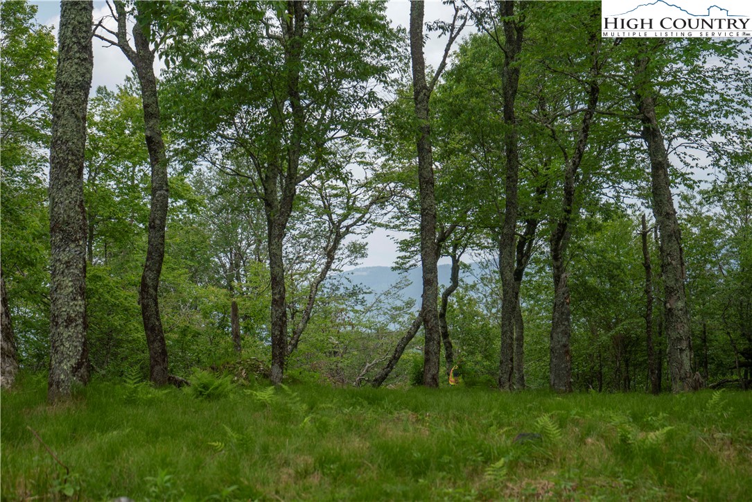 75 Green Cliffs Road Sugar Mountain, NC 28604 - Photo 1 of 12