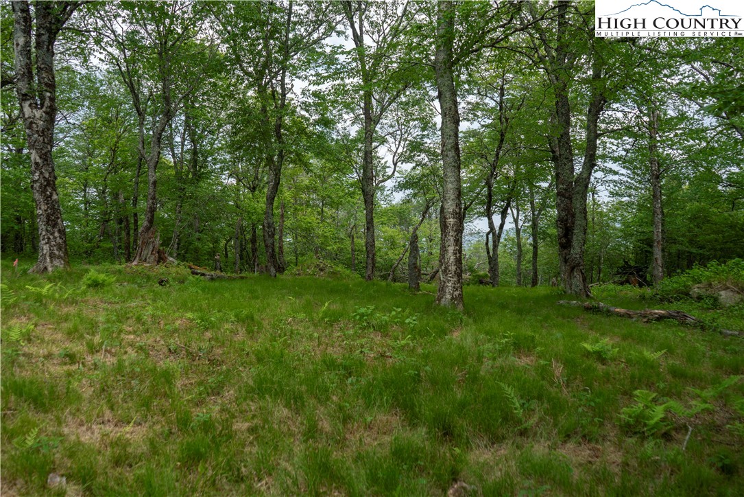 75 Green Cliffs Road Sugar Mountain, NC 28604 - Photo 2 of 12