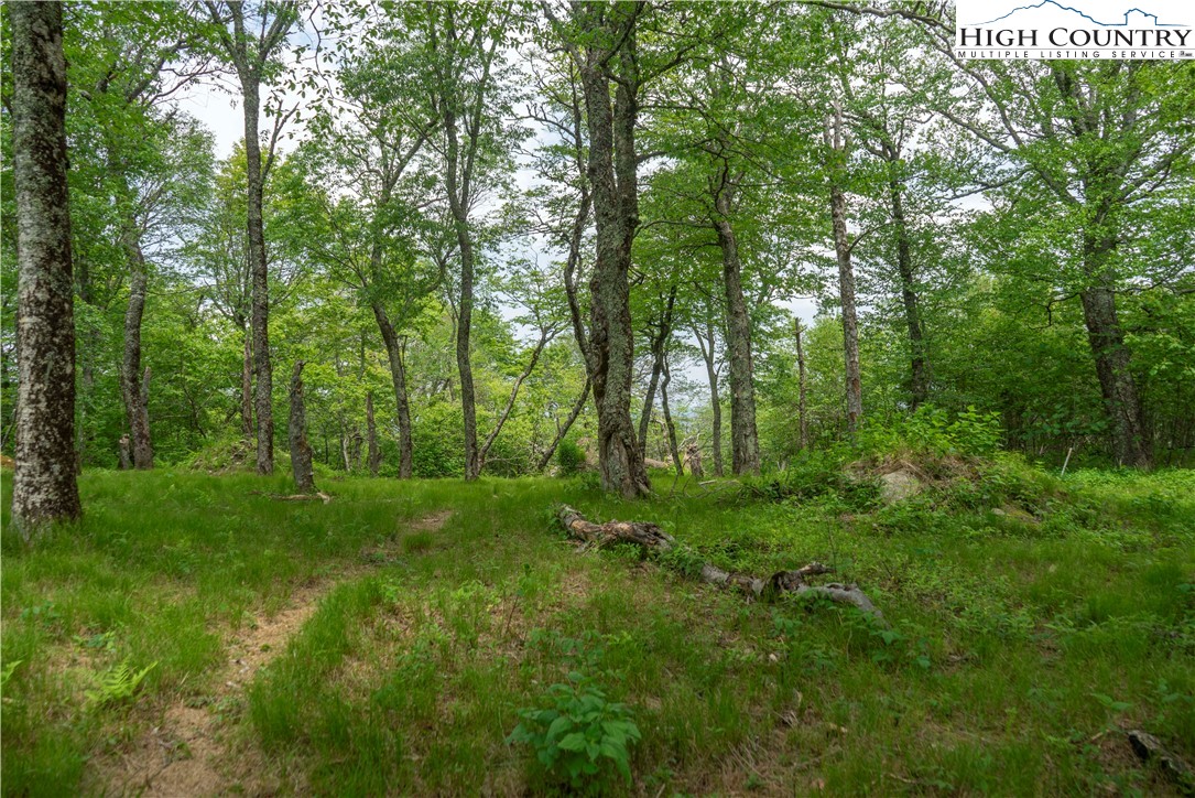 75 Green Cliffs Road Sugar Mountain, NC 28604 - Photo 3 of 12