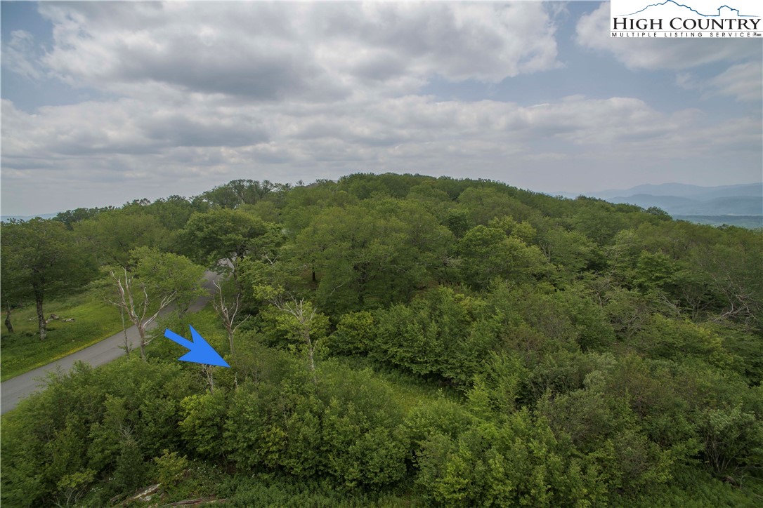 75 Green Cliffs Road Sugar Mountain, NC 28604 - Photo 4 of 12