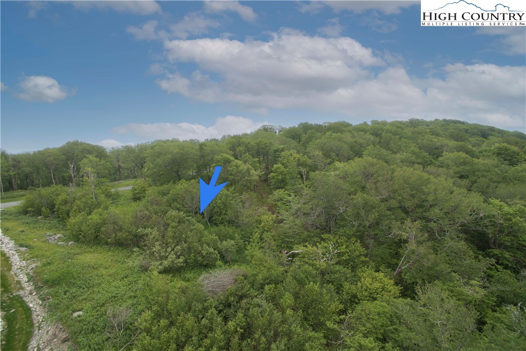 75 Green Cliffs Road Sugar Mountain, NC 28604 - Photo 5 of 12