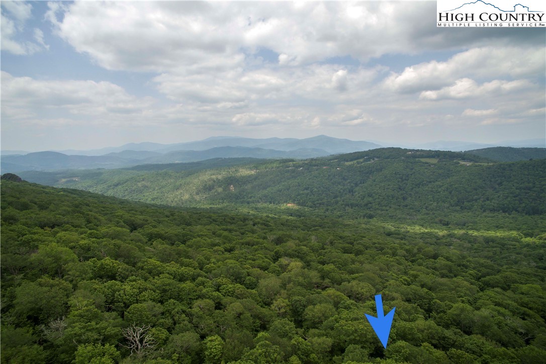 75 Green Cliffs Road Sugar Mountain, NC 28604 - Photo 7 of 12