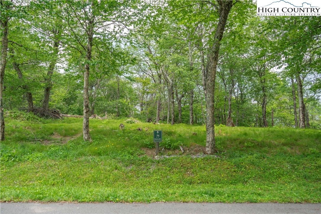 75 Green Cliffs Road Sugar Mountain, NC 28604 - Photo 8 of 12